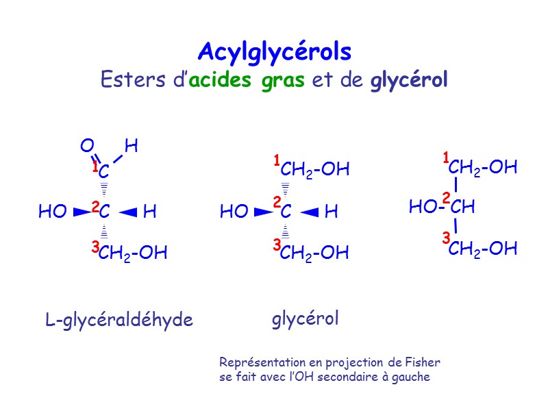 Acylglycérols 1  2  3 1  2  3 1  2